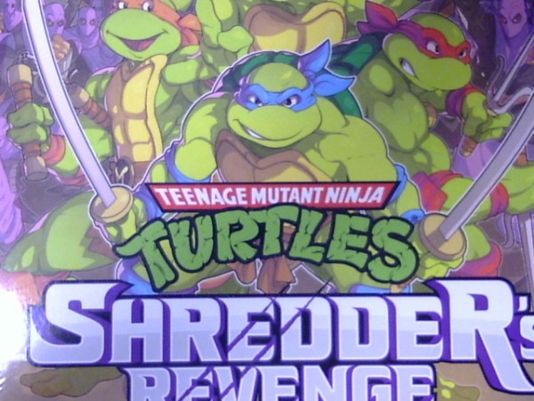 VINYLE TEENAGE MUTANT NINJA REVENGE 2LP