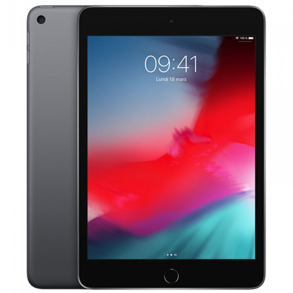 IPAD MINI 5 2019 256GO GRIS WIFI 7.9