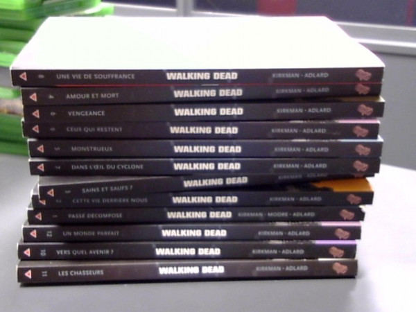 LOT LIVRES WALKING DEAD